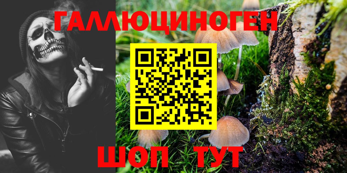 Алексеевка  Псилоцибиновые грибы ЛСД  Галлюциногенные грибы MAGIC MUSHROOMS  Вход с VPN 